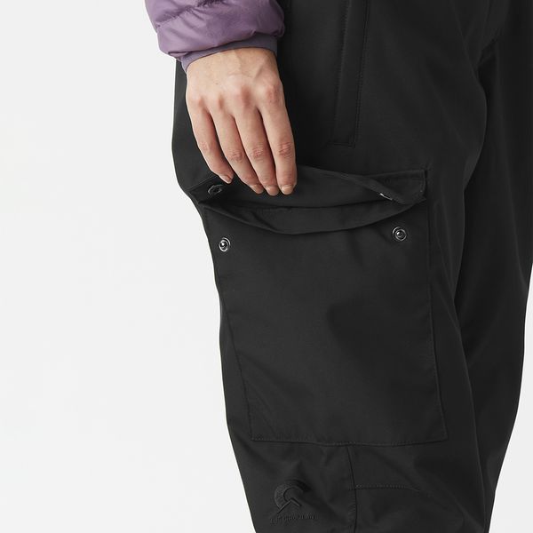 Picture Organic брюки лыжные Brita Bib W 2026 black L