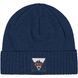 Picture Organic шапка Shap vintage indigo