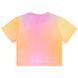 Picture Organic футболка Timont Boxy W gradient print S