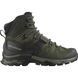 Salomon черевики Quest 4 GTX olive night 42.2/3