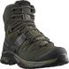 Salomon черевики Quest 4 GTX olive night 42.2/3