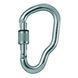Petzl карабін Vertigo