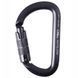 First Ascent карабін Autolock grey