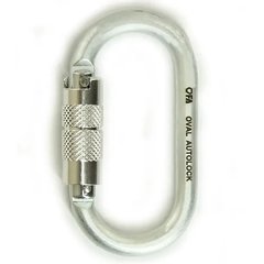 First Ascent карабін Oval Autolock