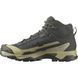 Salomon ботинки X Ultra 5 MID GTX peat 46