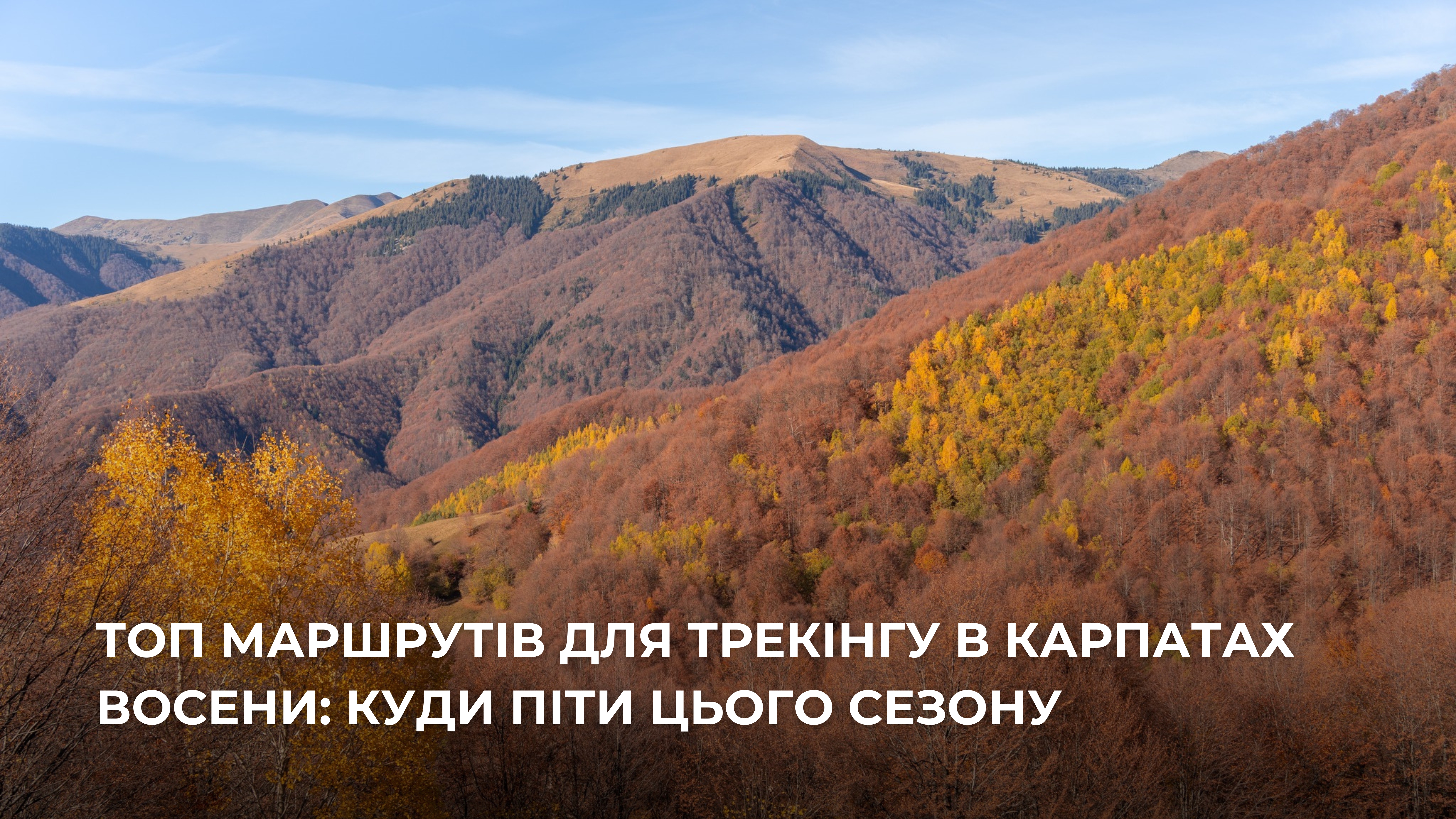 ТОП маршрутів для трекінгу в Карпатах восени: куди піти цього сезону