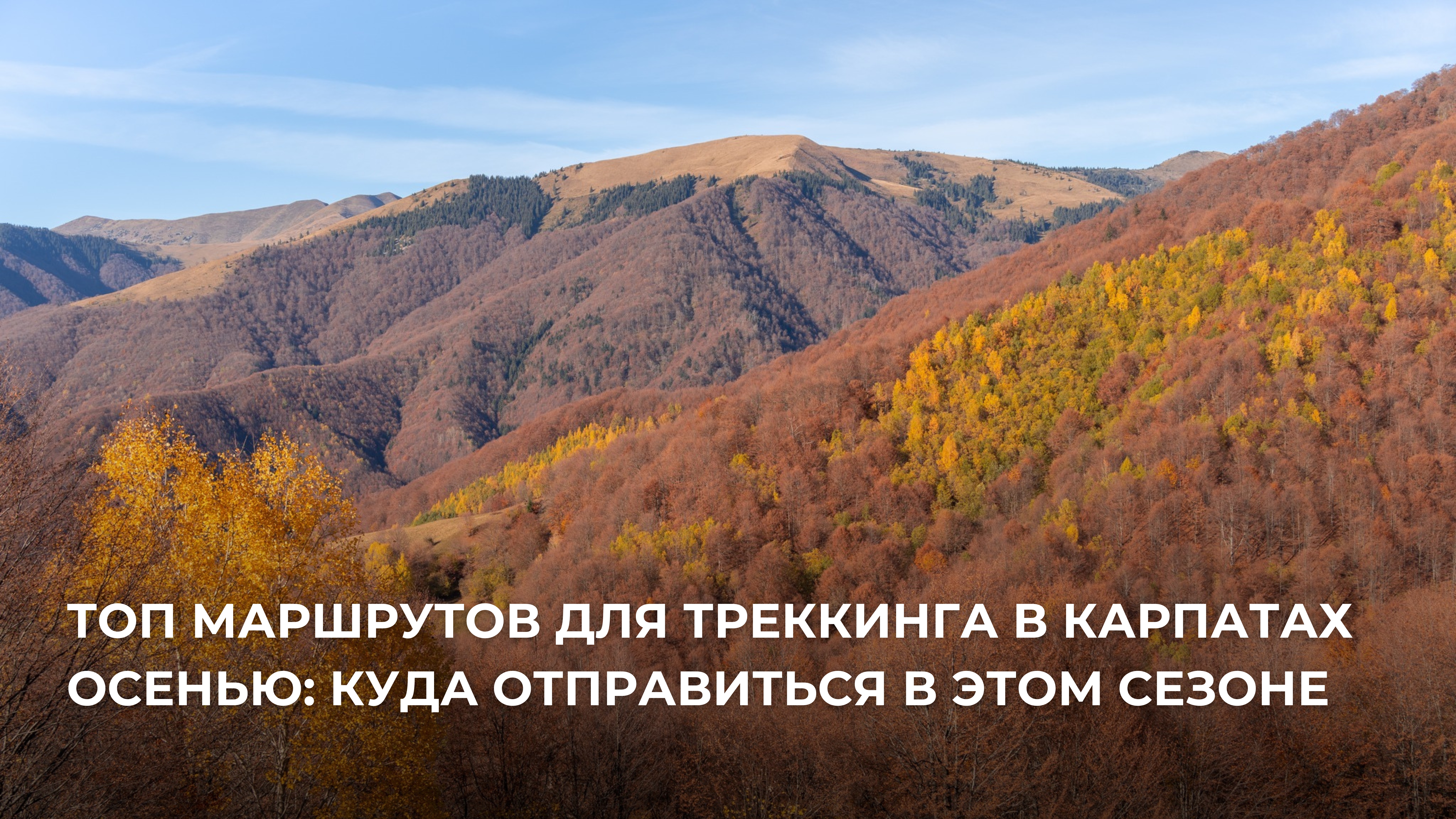 ТОП маршрутов для треккинга в Карпатах осенью: куда отправиться в этом сезоне